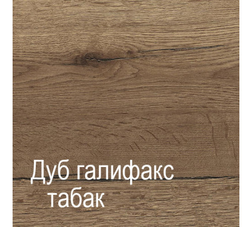 Настенная вешалка для одежды ПХ-10 (ДГТ) Ханна с полкой